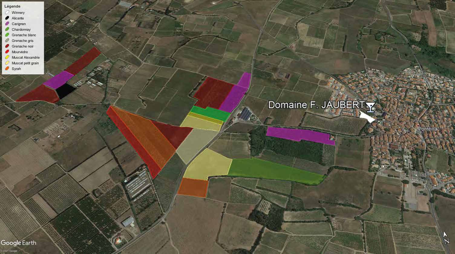 Vue aérienne des parcelles du Domaine autour de Ponteilla, colorées par cépage
